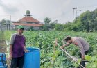 Kapolsek-Tarik-Masifkan-Pendampingan-Petani-Buah-Melon-untuk-Optimalkan-Program-Ketahanan-Pangan